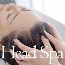 Head spa